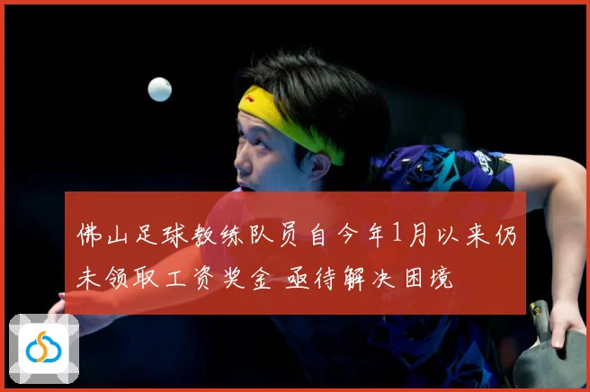佛山足球教练队员自今年1月以来仍未领取工资奖金 亟待解决困境