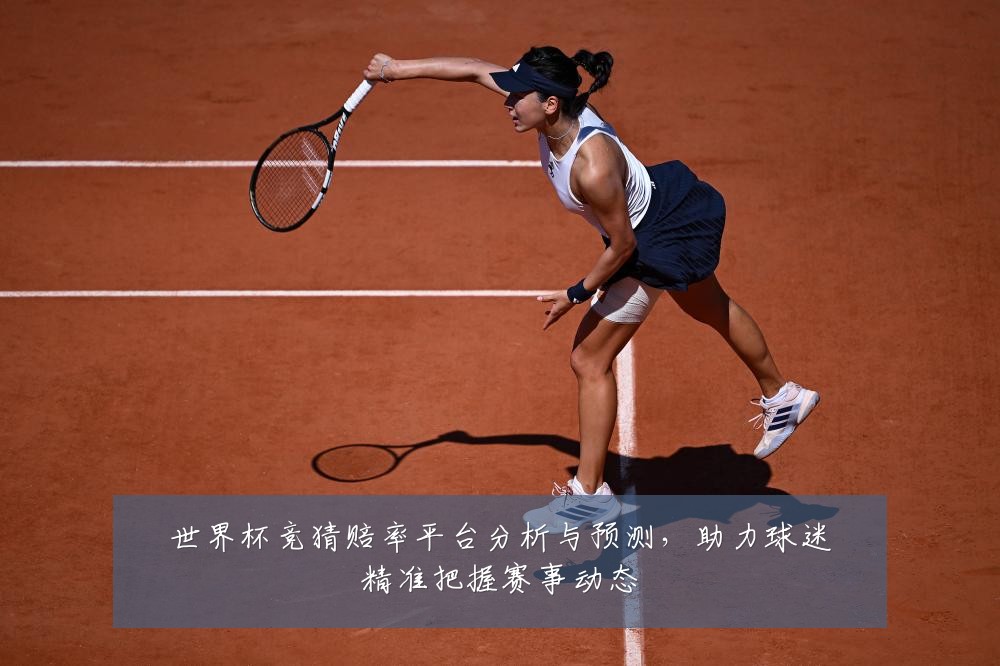 世界杯竞猜赔率平台分析与预测，助力球迷精准把握赛事动态